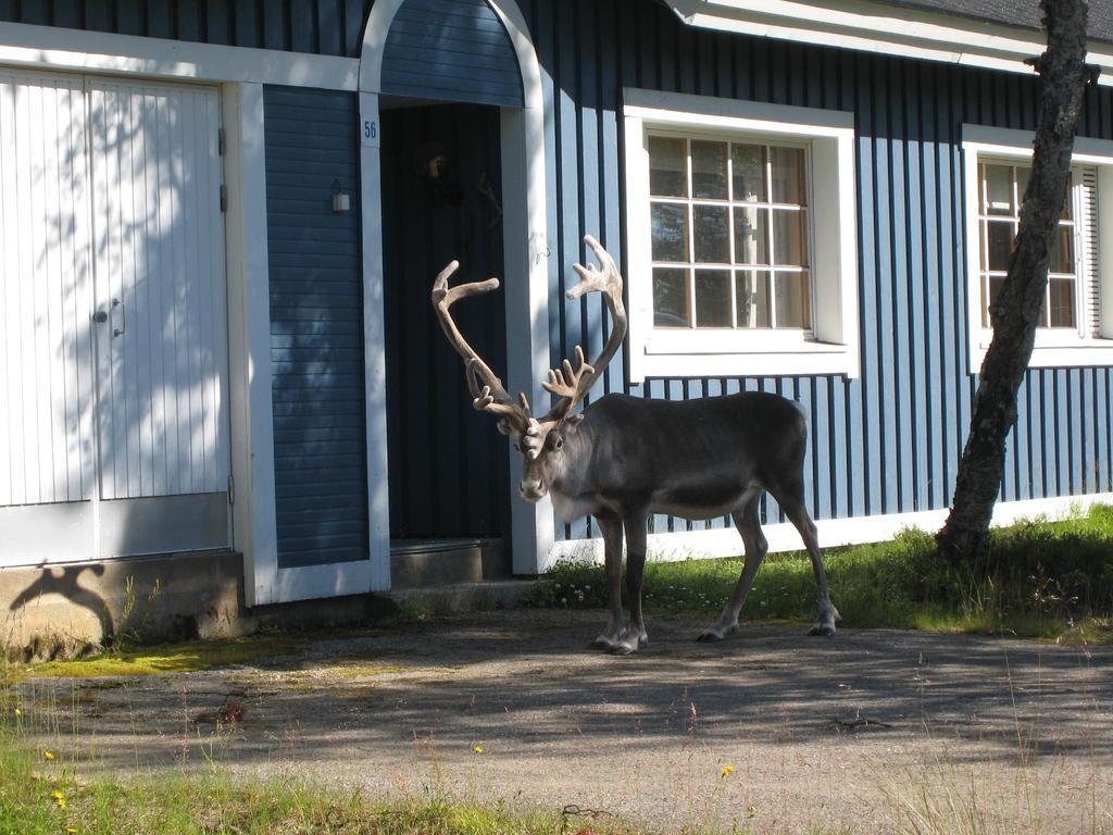 Villa Saariselaen Marjamajat Saariselkä Exterior foto
